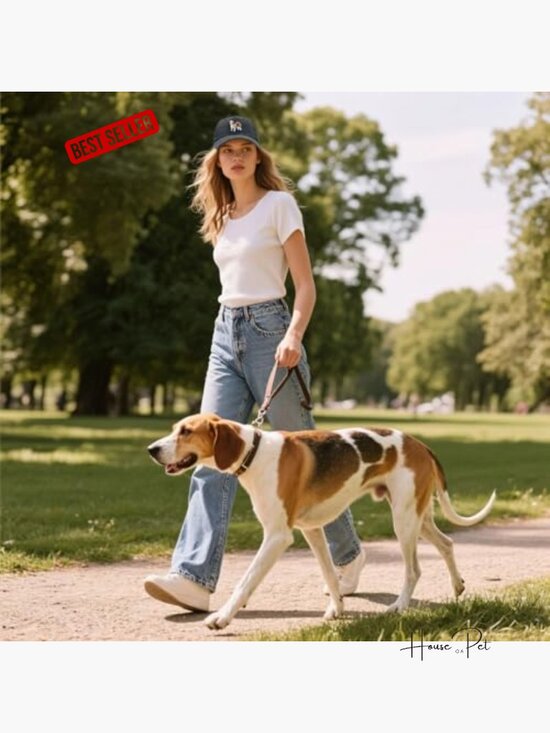 Amazon.com: Beagle hat for Kids, Beagle Puppy Embroidered  Embroidered Beagle Baseball Cap, Adjustable Buckle, Unstructured Cotton